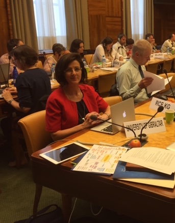 The University of Gibraltar represented at a UN Formal Meeting in GenevaImage of 