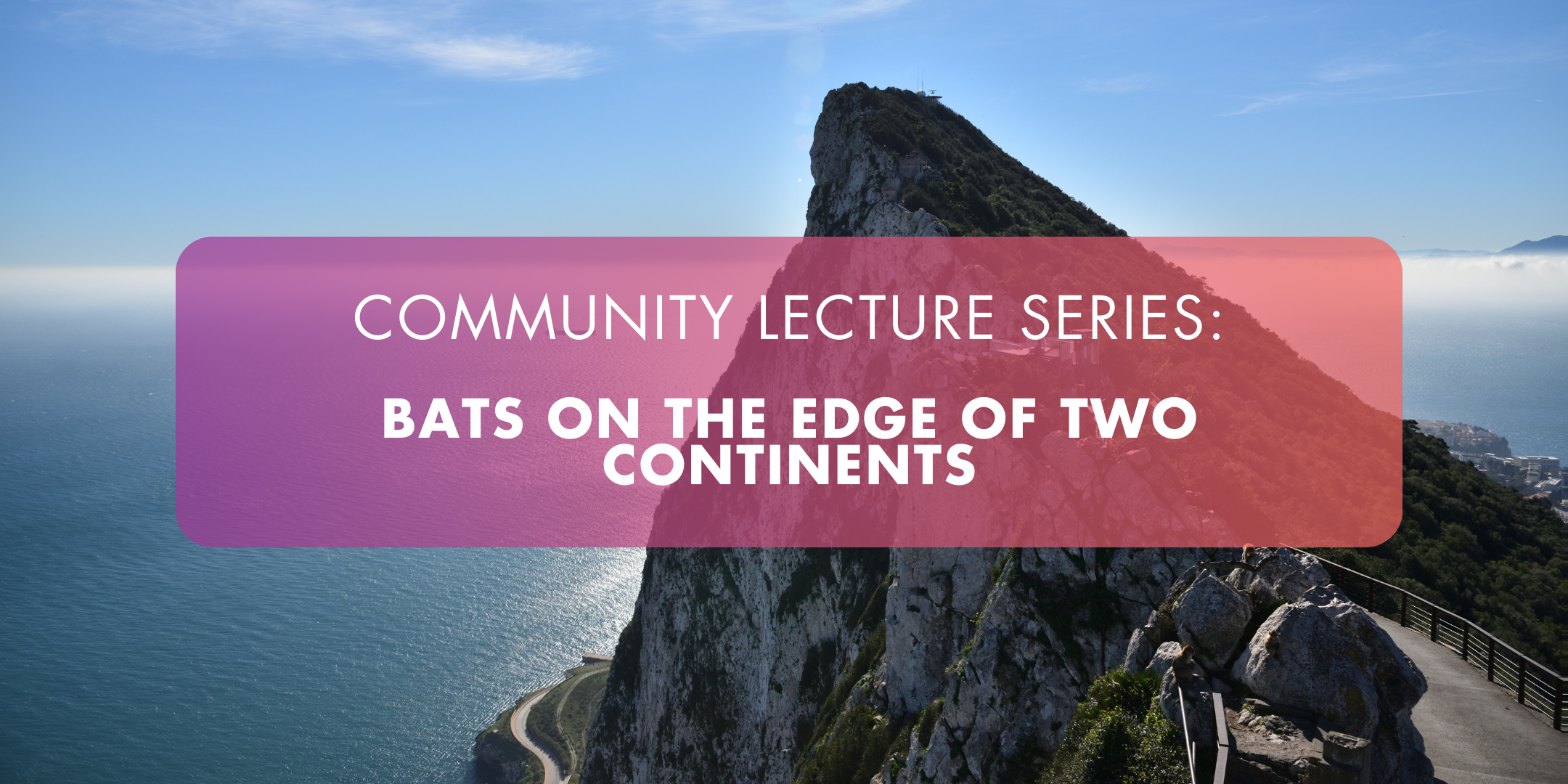 Community Lecture Series | Dr Stewart FinlaysonImage of 