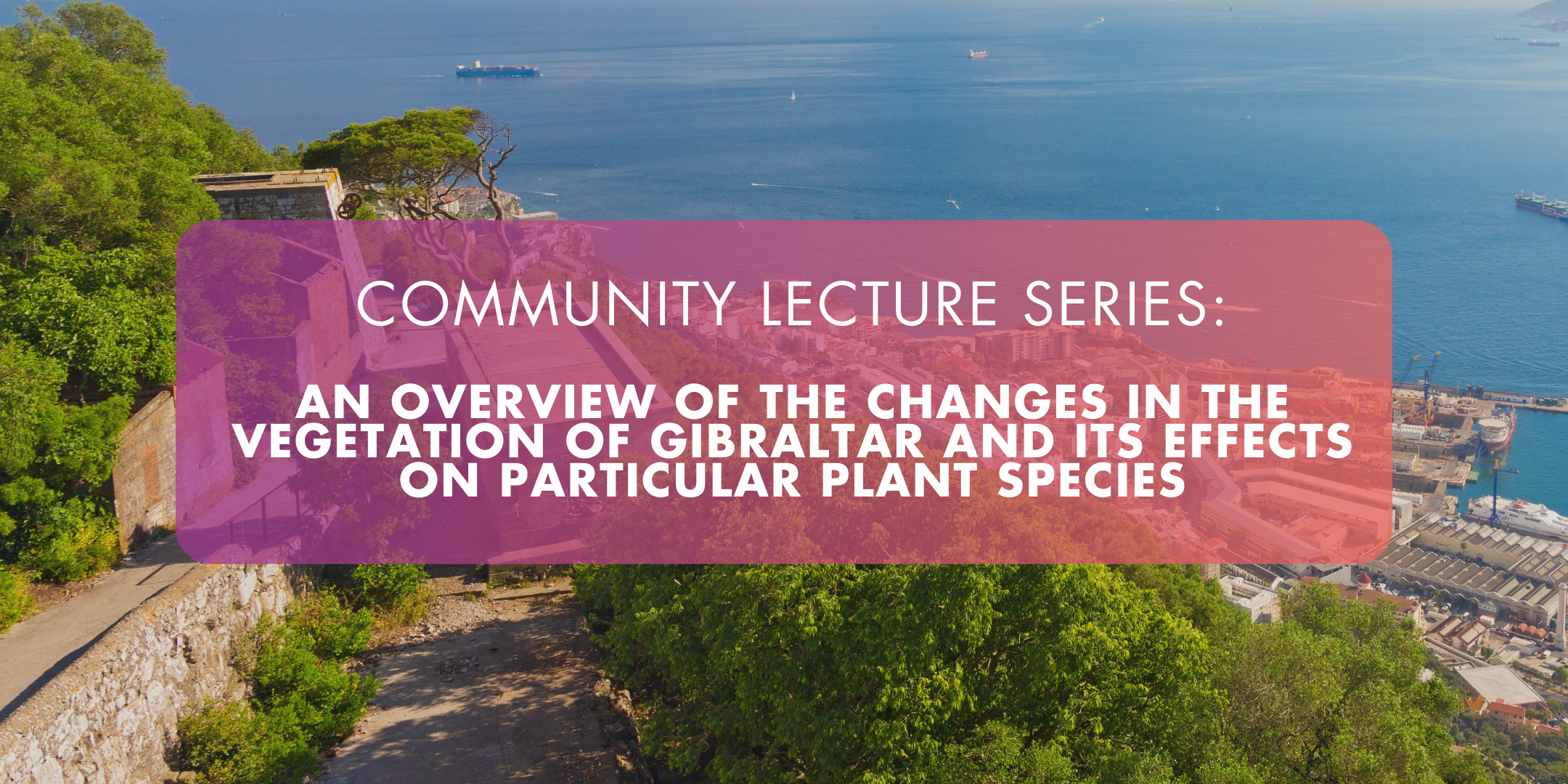 Community Lecture Series | Leslie LinaresImage of 