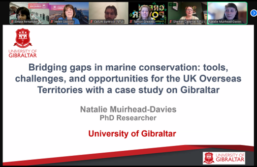 Image of 04. natalie muirhead davies