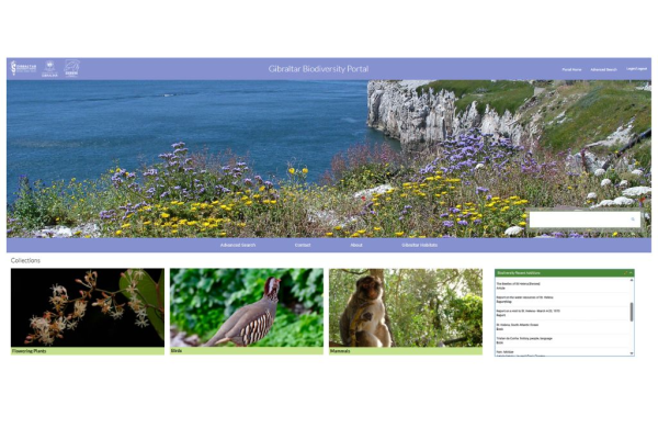 Gibraltar Dpl00109 Biodiversity Portal C L Linares Crop